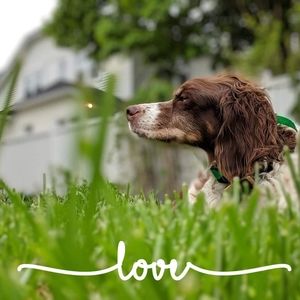 Meet your Posher, Robyn